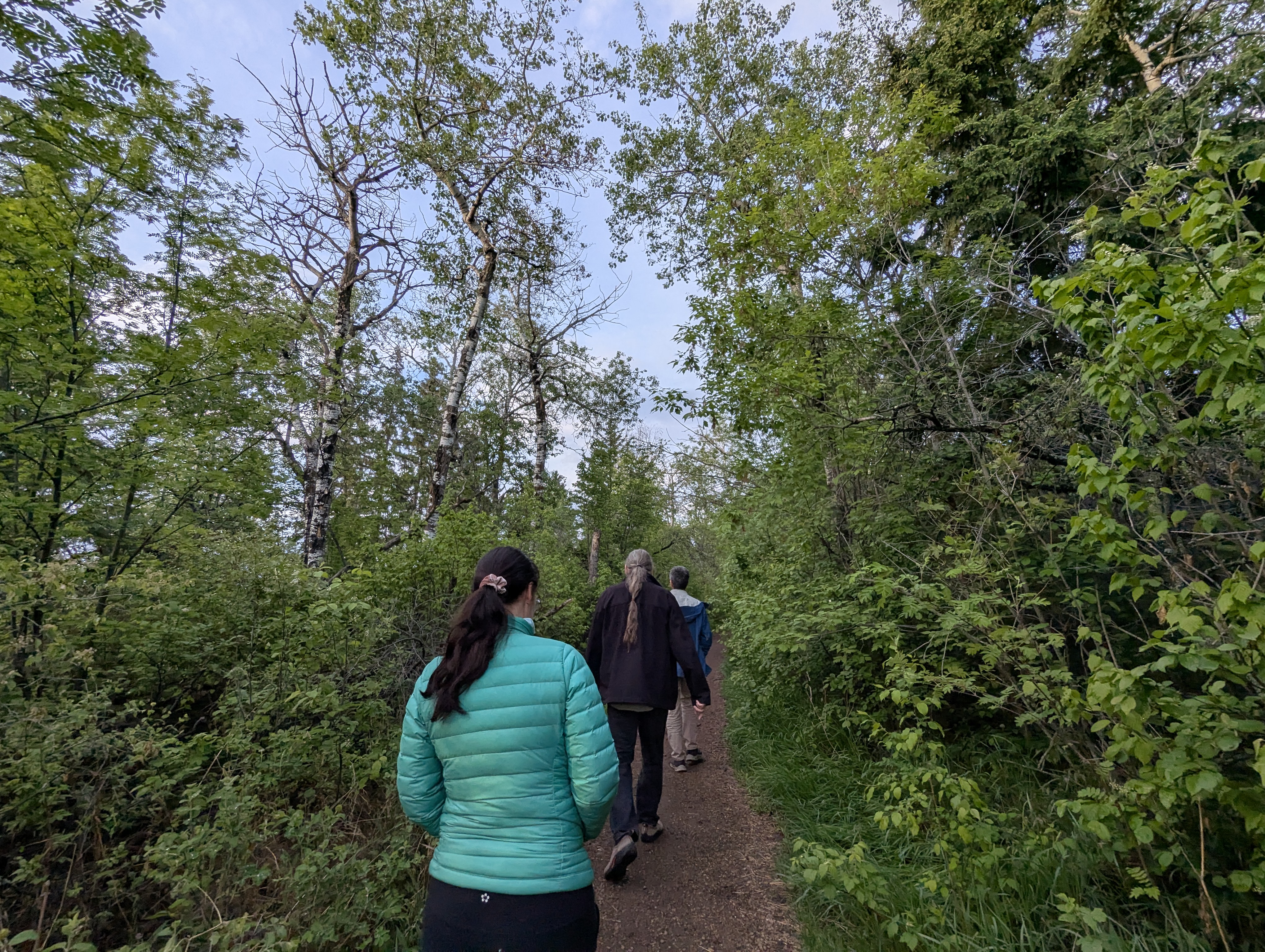 Birthday Trip to Canada, Edmonton